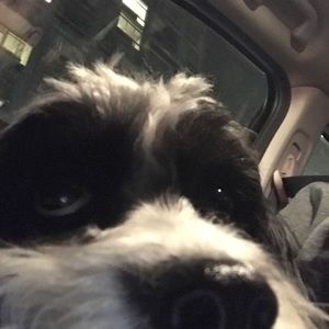 Meet your Posher, Maureen